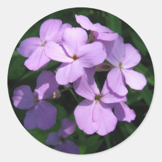 Lavendar Wildflower Sticker