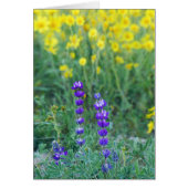 Lavender and Yellow Sunflower (Front)