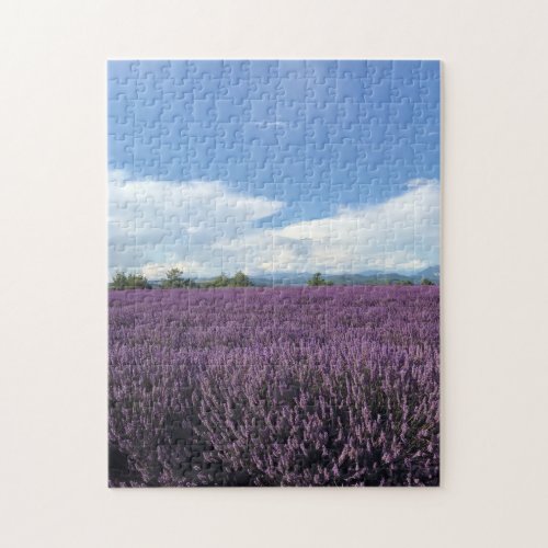 Lavender at French Riviera France  Jigsaw Puzzle