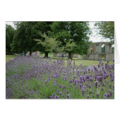 Lavender at Glastonbury (Front Horizontal)