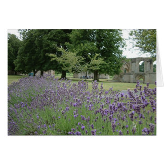 Lavender at Glastonbury Cards