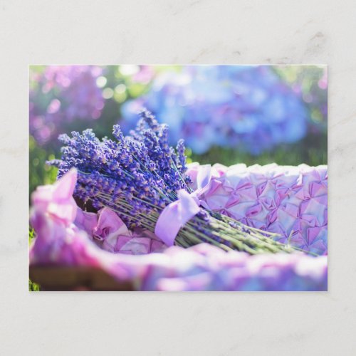 Lavender Basket Purple Spring Meadow Postcard