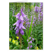 Lavender Bellflower Photograph (Front)