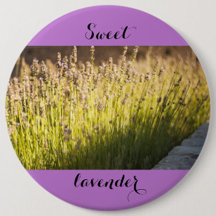 Lavender blooming pinback button