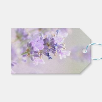 Lavender Bokeh Photographic Gift Tag