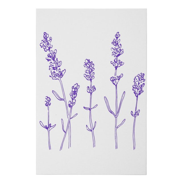 Lavender Botanical Drawing Floral Purple Flowers Faux Canvas Print (Front)
