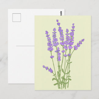 Lavender bouquet. postcard