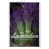 Lavender Bunch (Front)