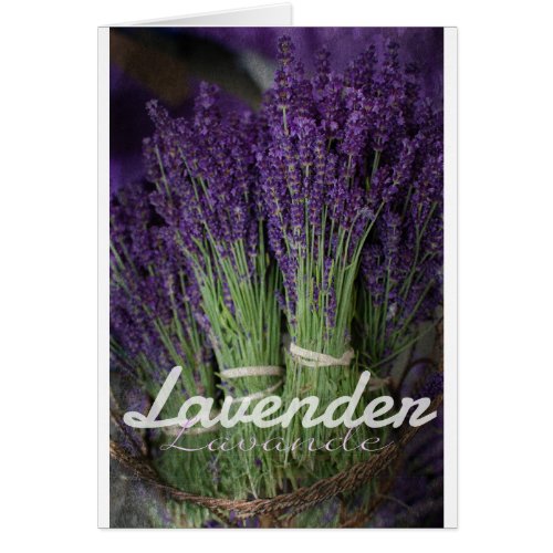 Lavender Bunch