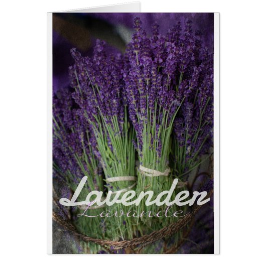 Lavender Bunch Cards (Front)