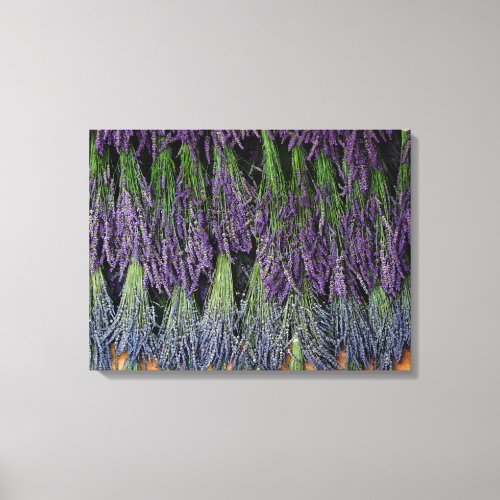 Lavender Bunches on Drying Rack Canvas Print