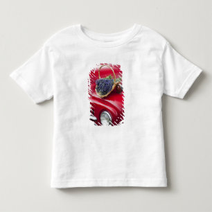 Lavender bunches rest on old farm pickup truck toddler t-shirt