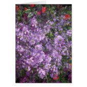 Lavender Bush (Front)