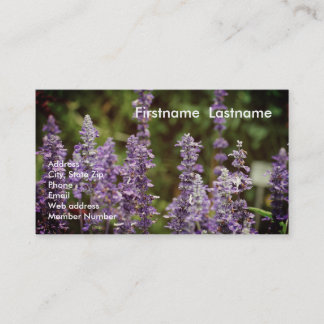 Lavender Business Card