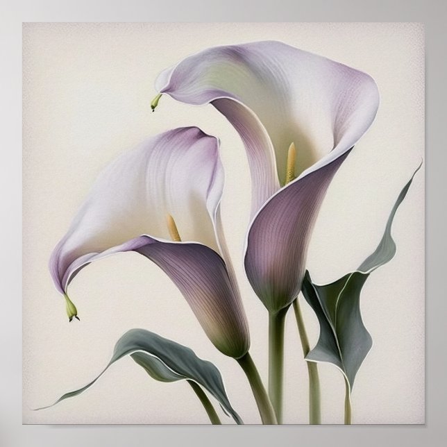 Lavender Calla Lilies Lily Flower Art Print Poster (Front)