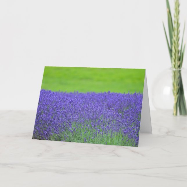 Lavender Card (Front)