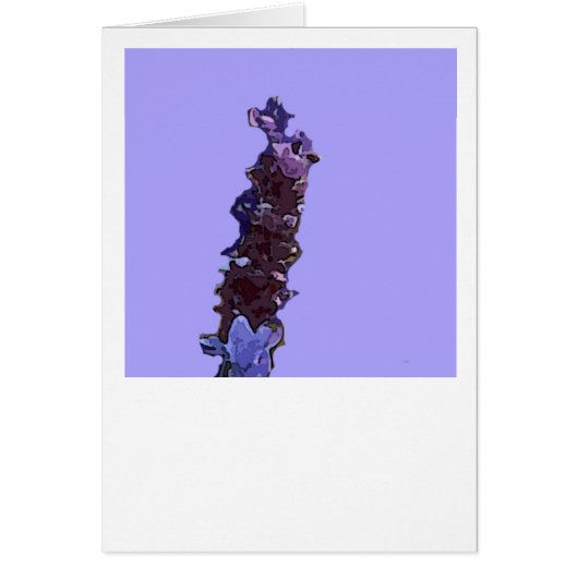 Lavender Cards (Front)
