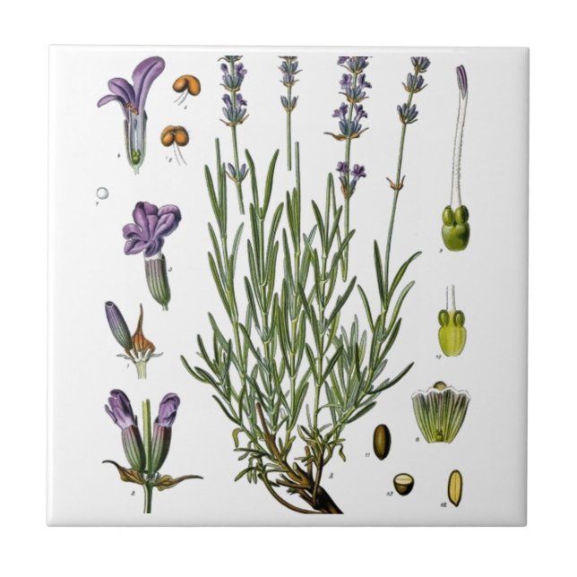 Lavender Ceramic Tile (Front)