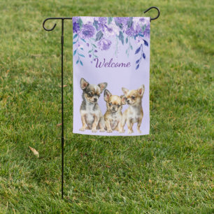 Lavender Chihuahua Puppies   Garden Flag