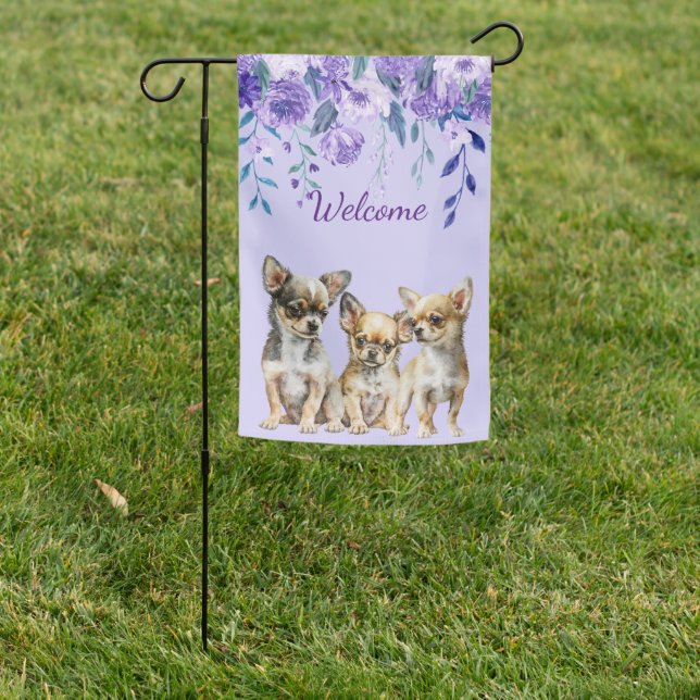 Lavender Chihuahua Puppies   Garden Flag (In SItu)