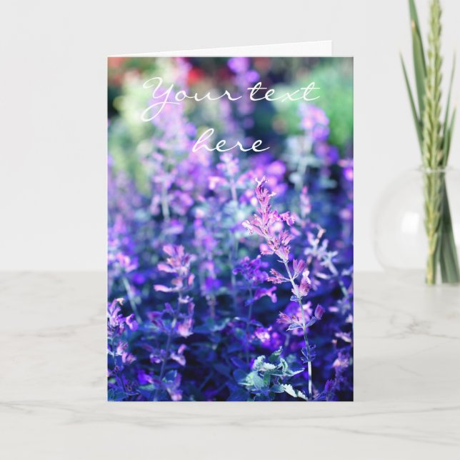 Lavender, Classic photography card (Front)