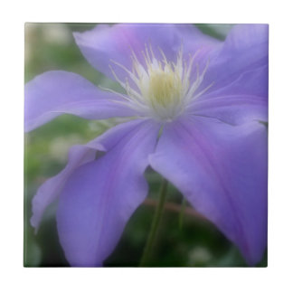 Lavender Clematis Flower Nature Tile