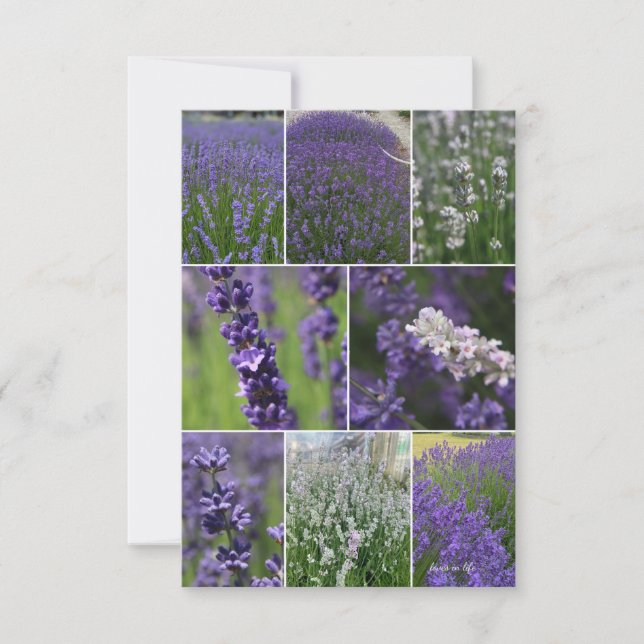 Lavender Collage 2  Note Card (Front)