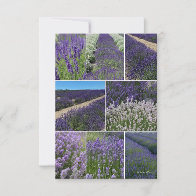 Lavender Collage  Note Card (Front)