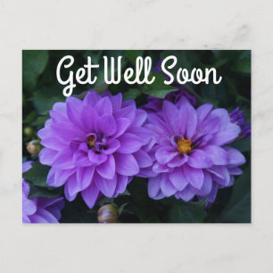 Lavender Dahlia Lilac Get Well Soon Postcard