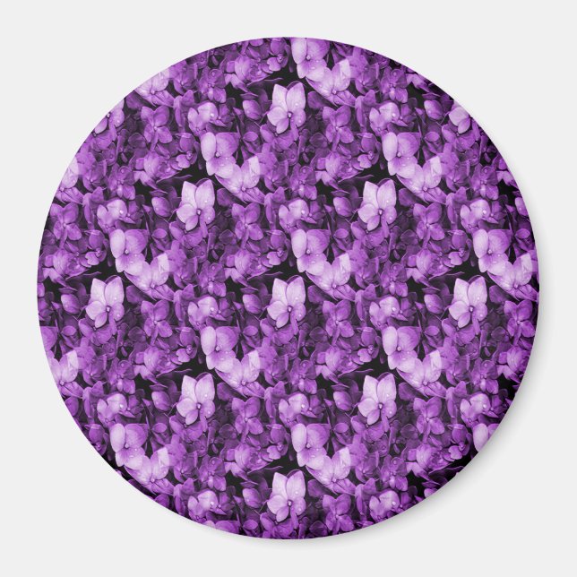 Lavender Delight.... Magnet (Front)