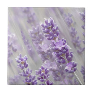 Lavender dreams. ceramic tile