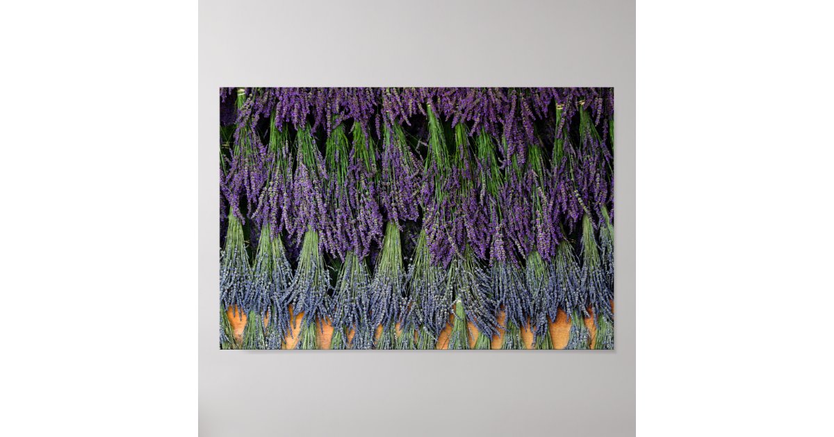 Lavender Drying Rack Poster Zazzle