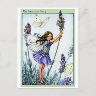 Lavender Fairy Postcard