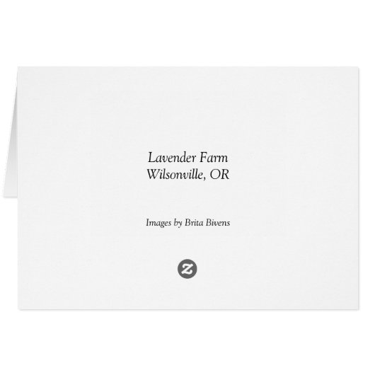 Lavender Farm (Back Horizontal)