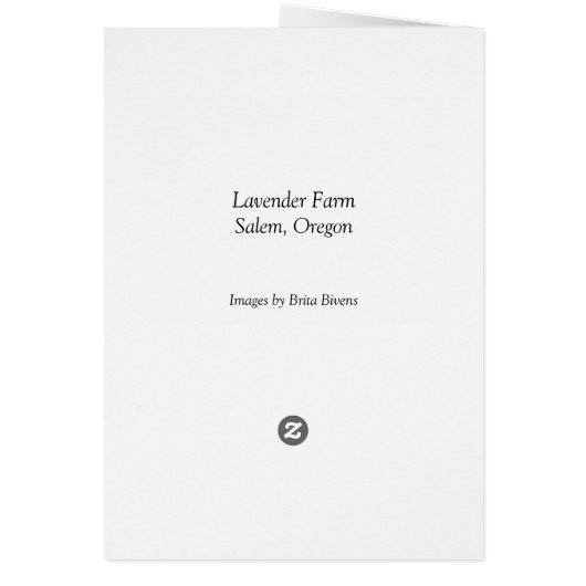 Lavender Farm (Back)