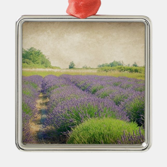 Lavender Farm - Distressed Metal Ornament (Front)
