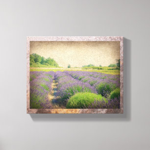 Lavender Farm - Distressed Wrapped Canvas Print