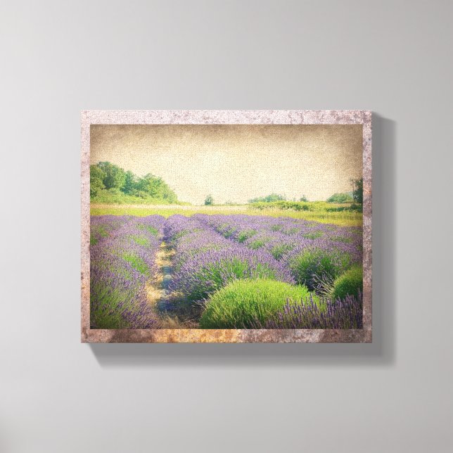 Lavender Farm - Distressed  Wrapped Canvas Print (Front)
