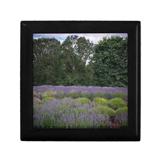 Lavender Farm Gift Box (Front)