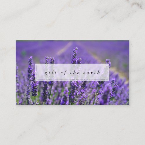 Lavender Farm Gift of the Earth Essential Oils Business Card