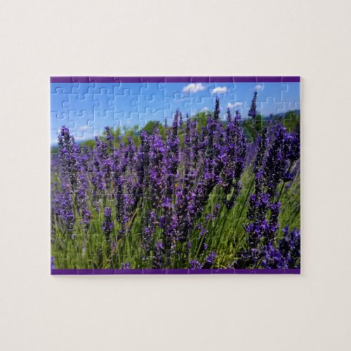 Lavender Farm Jigsaw Puzzle
