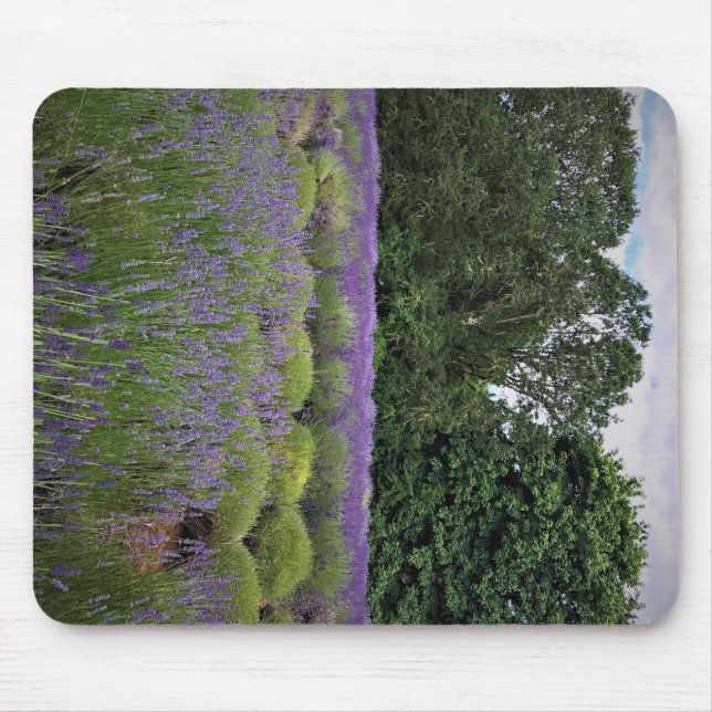 Lavender Farm Mouse Pad (Front)