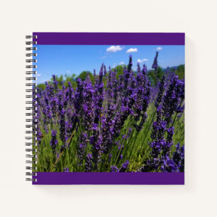 Lavender Farm Notebook