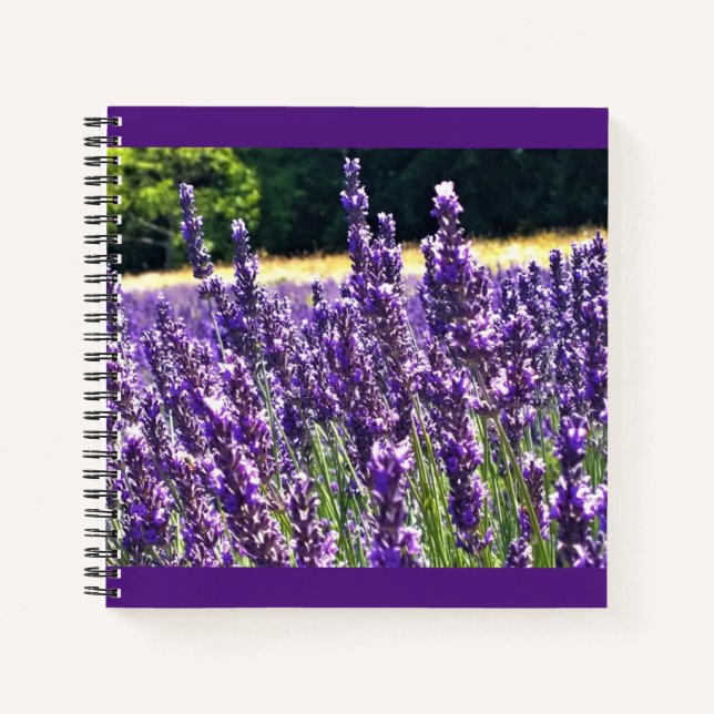 Lavender Farm Notebook (Front)