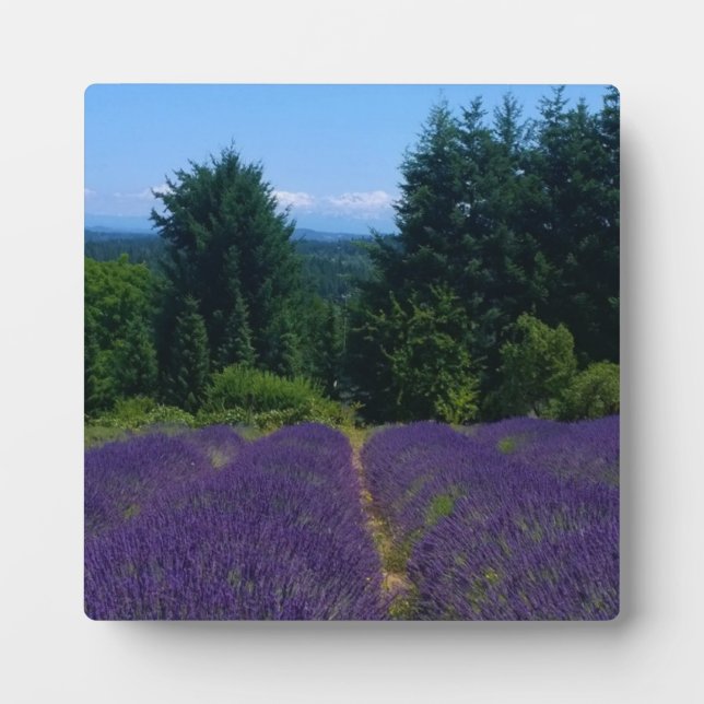 Lavender Farm Plaque (Front)