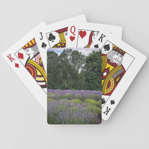 Lavender Farm Poker Cards