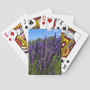 Lavender Farm Poker Cards