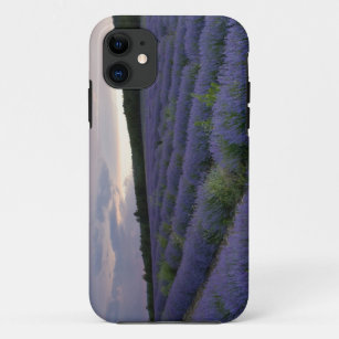 Lavender field at sunset iPhone 11 case