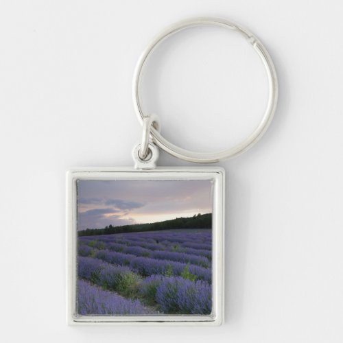 Lavender field at sunset keychain