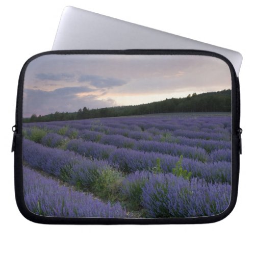 Lavender field at sunset laptop sleeve